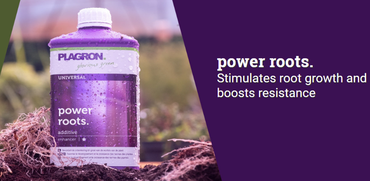 Plagron power roots fertilizer 250ml | For rooting
