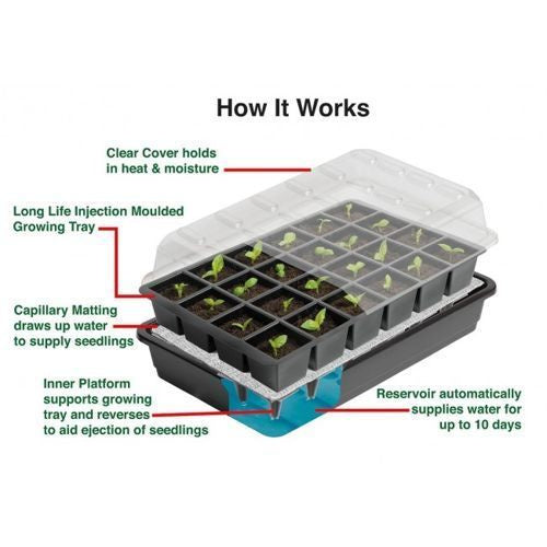 Self Watering Garland propagator /1.2L tank/ 37.5 x 13.5 x h16 cm