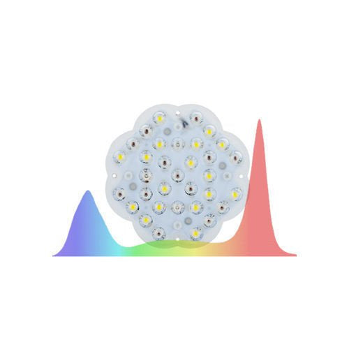 Luckygrow light source lens 120° - for clones/cloning