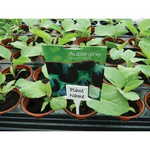 Labels for marking plants 10pcs