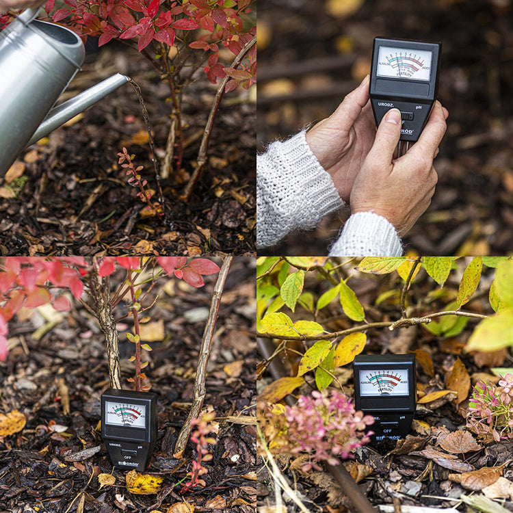 Biogarden pH meter / soil fertility acidometer