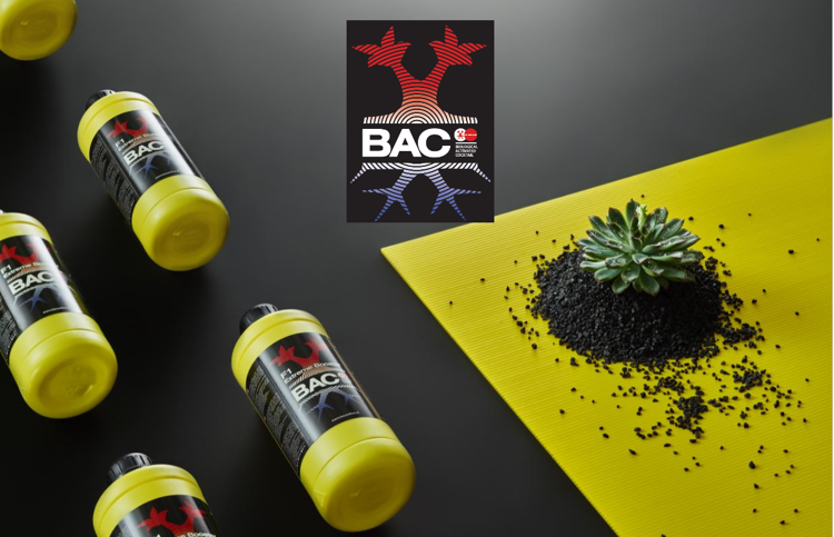 BAC hydro grow A + B 2x5L for growth