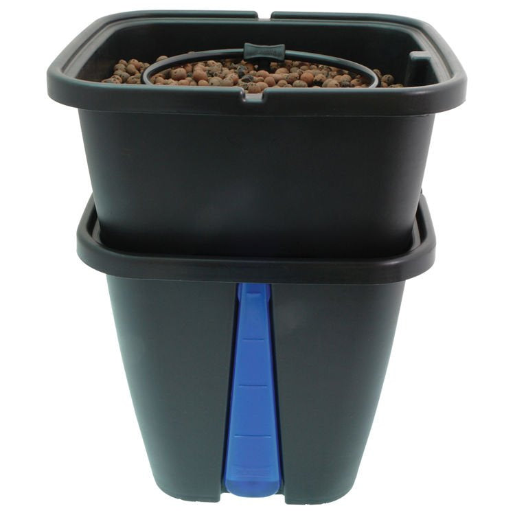 PLANT! T GEMINI Hydroponic system for 1 plant