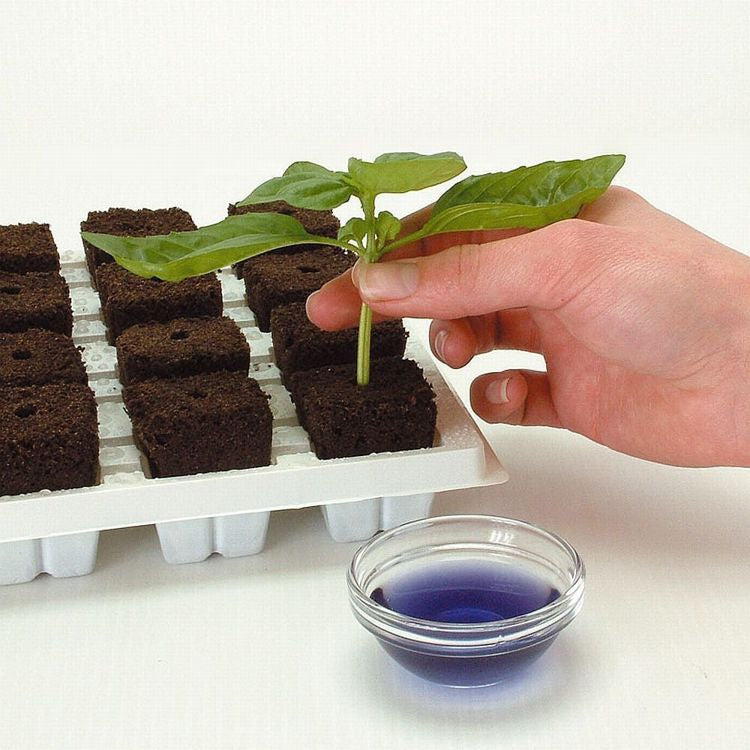 Growth Technology Root Riot 100 cubes - organic starter cubes for seeds and cuttings
