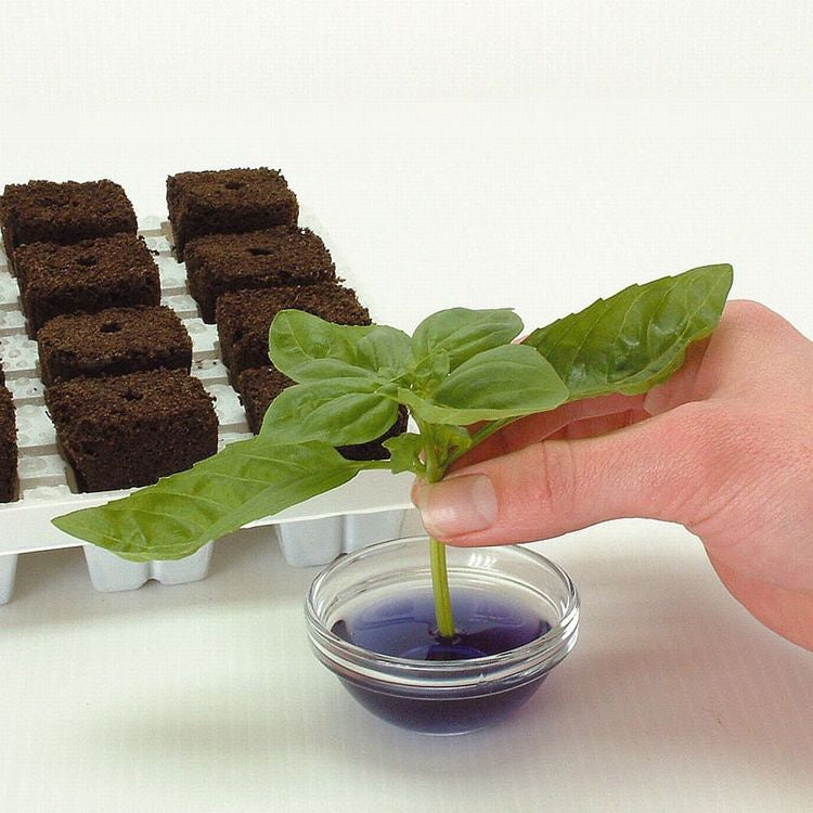 Growth Technology Root Riot 100 cubes - organic starter cubes for seeds and cuttings