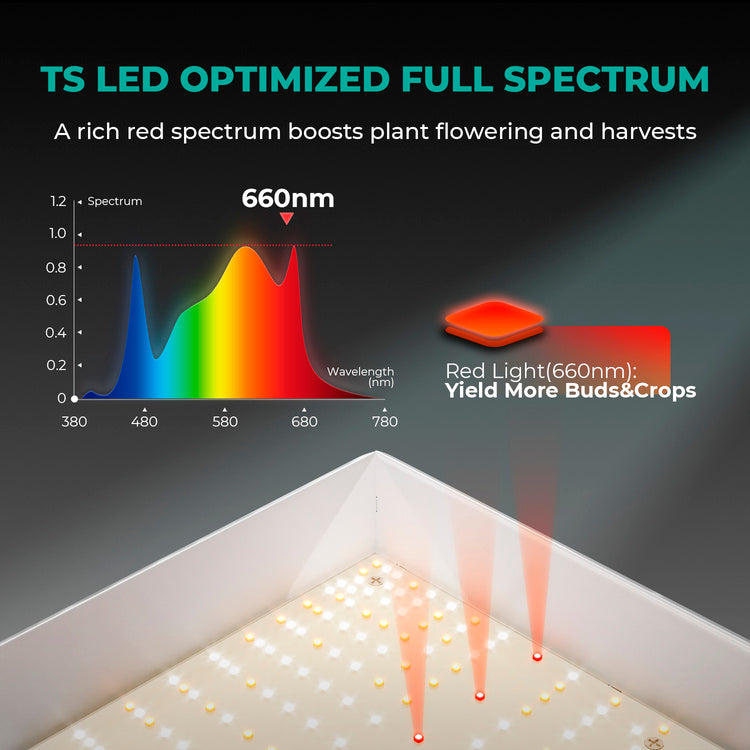 Mars Hydro TSW 2000 300W Led Grow Lamp - up to 120x120cm