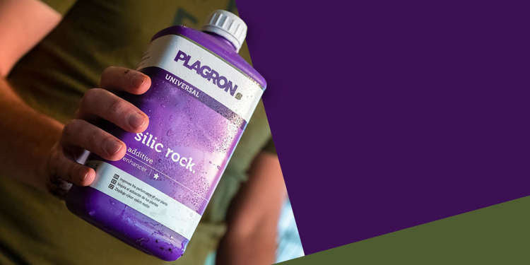 Nawóz Plagron Silic Rock 250ml | Strengthens cell walls and increases resistance