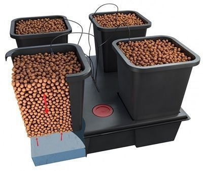WILMA hydroponic system 4 pots 11L