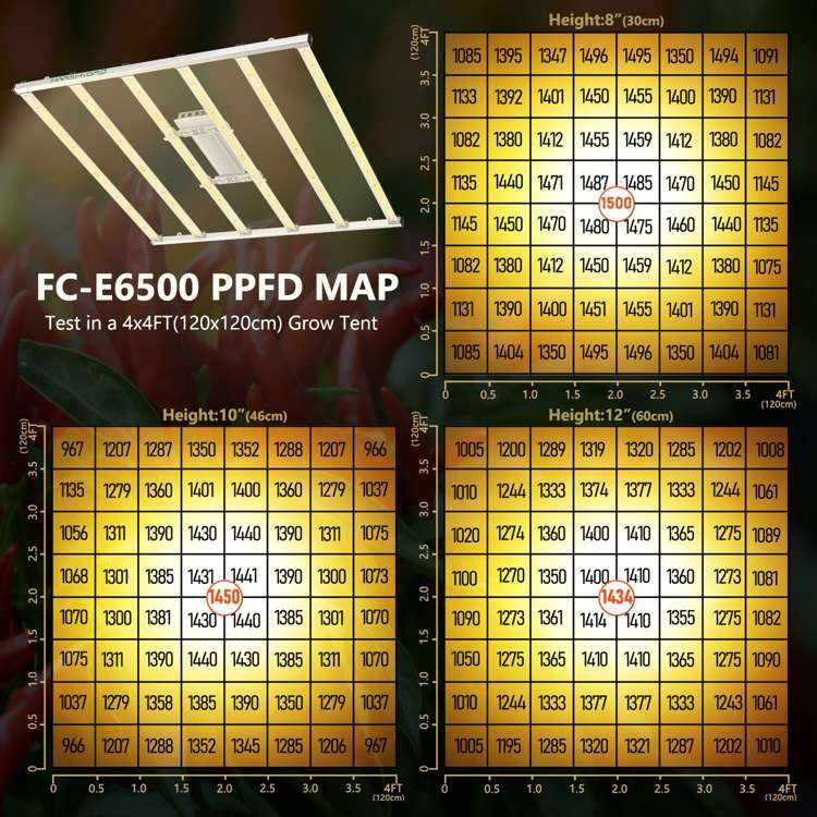 Mars Hydro FC-E6500 730W 2.8umol/J Led Grow lamp Full Spectrum