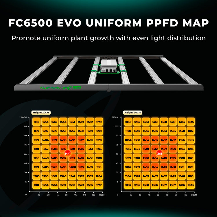 Mars Hydro Smart FC 6500-EVO Samsung LM301H 730W LED grow lamp