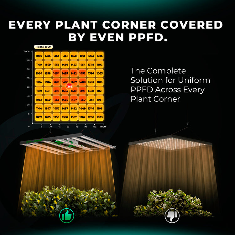 Mars Hydro Smart FC 6500-EVO Samsung LM301H 730W LED grow lamp