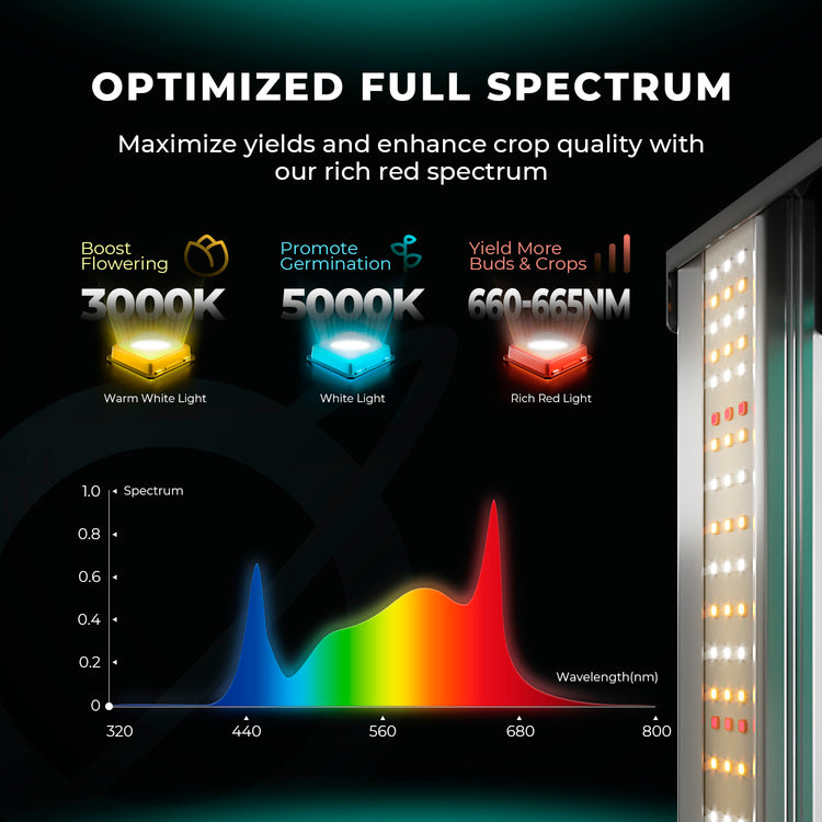 Mars Hydro Smart FC 6500-EVO Samsung LM301H 730W LED grow lamp