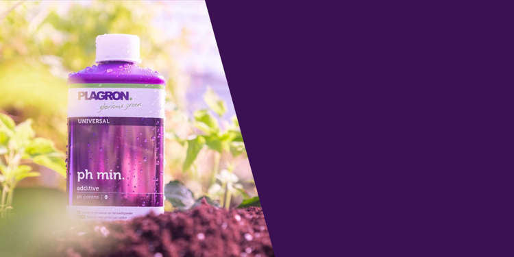 Plagron ph minus 250ml | For lowering ph