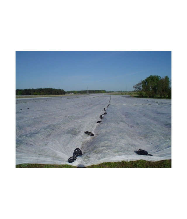 Agrofibre for plant protection 1.6x5M