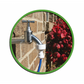 GrowMax Water Reverse Osmosis Filter Power Grow 500 L/day