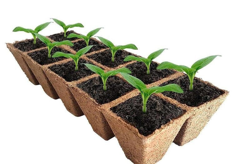 Peat pots Jiffy Pot for seedlings - 6x6x6cm 1pc tray (12 pots)