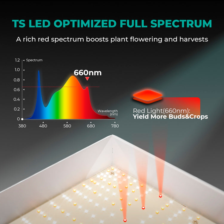 Mars Hydro TSL 2000 300W Led Grow Lamp