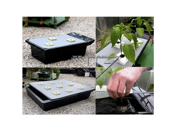 NFT GRO-TANK Nutriculture 20L hydroponic system
