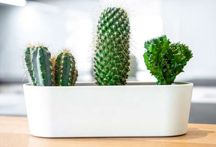 Leni black pot 27 cm x 10 x 8 cm for window sill