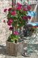 Blumat Classic for house plants 3 pcs. - automatic watering of indoor plants