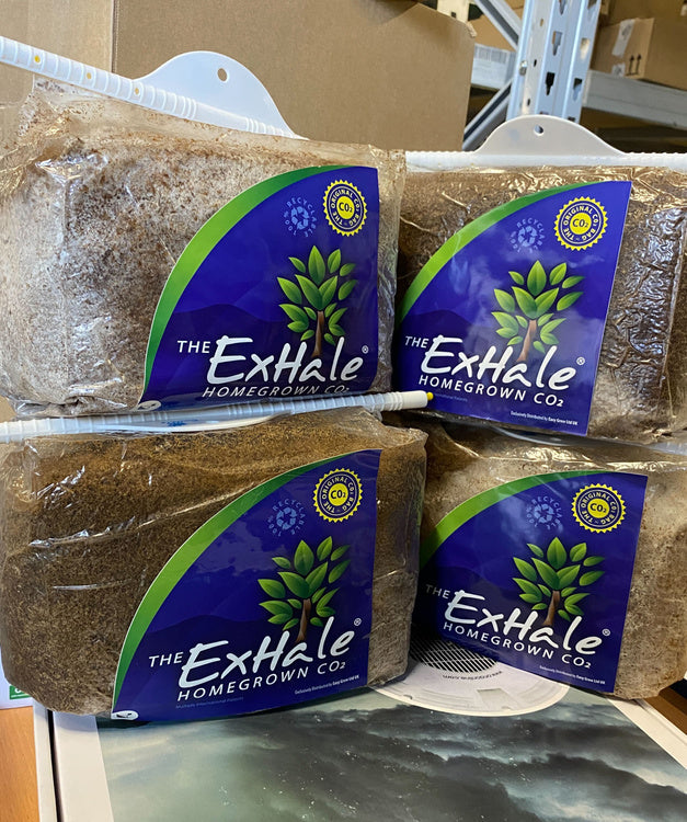 ExHale CO2 Bag - natural co2 generator | for max. 130x130cm area