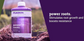 Plagron Power Roots 1L | For rooting