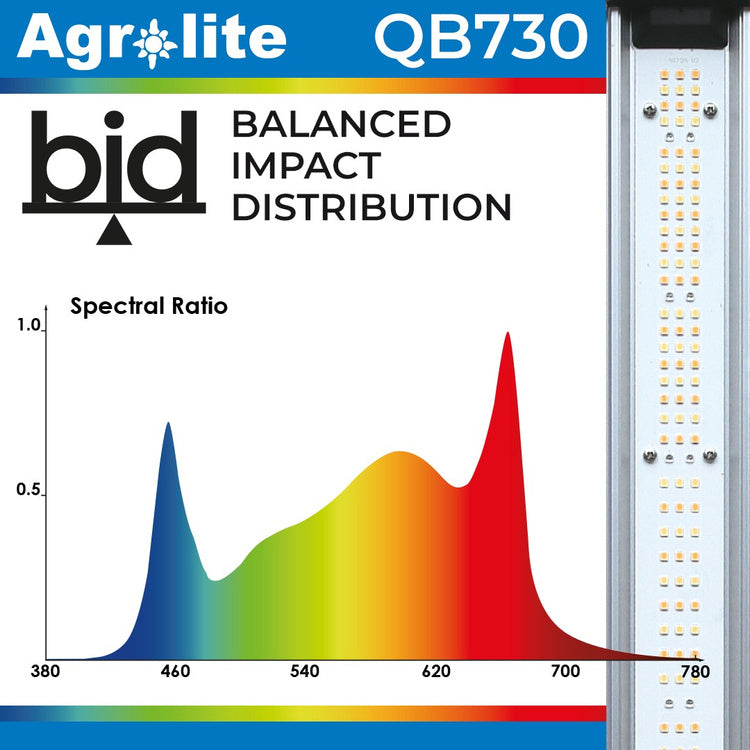 Agrolite LED QB 730W 2.9 µmol/J Full Spectrum - LED grow light | coverage up to 150x150cm