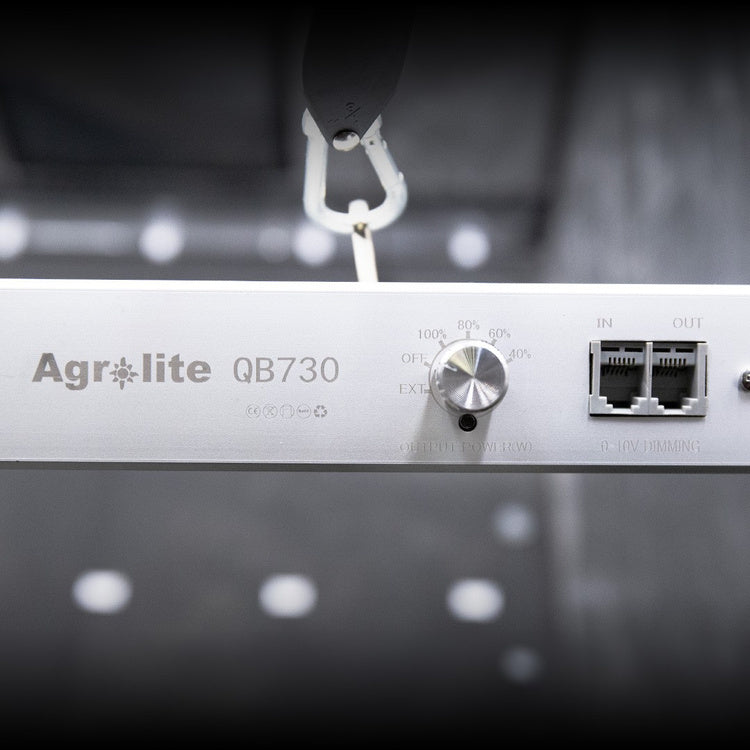 Agrolite LED QB 730W 2.9 µmol/J Full Spectrum - LED grow light | coverage up to 150x150cm
