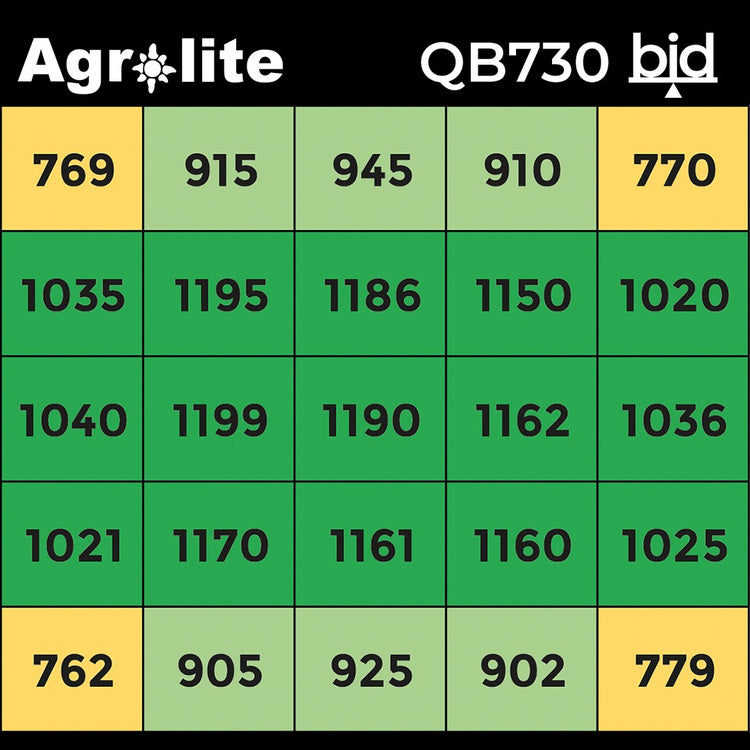 Agrolite LED QB 730W 2.9 µmol/J Full Spectrum - LED grow light | coverage up to 150x150cm
