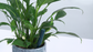 iBebot SoilQuality - Soil Moisture & Conductivity (EC) wireless sensor | data logger