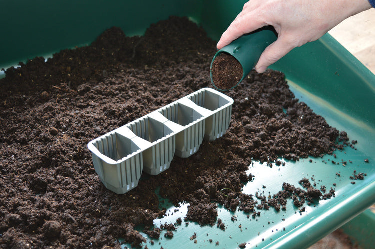 Garland 24 Cell Self Watering Fast Root Success Kit 38x23xh14cm G241