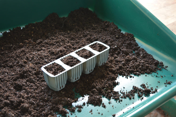 Garland 24 Cell Self Watering Fast Root Success Kit 38x23xh14cm G241