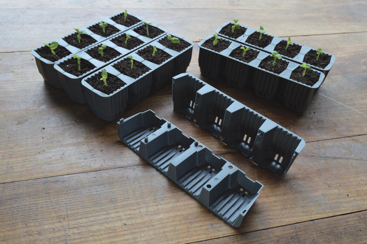Garland 24 Cell Self Watering Fast Root Success Kit 38x23xh14cm G241