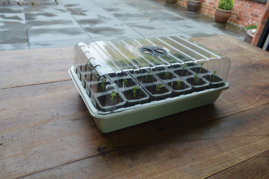 Garland 24 Cell Self Watering Fast Root Success Kit 38x23xh14cm G241