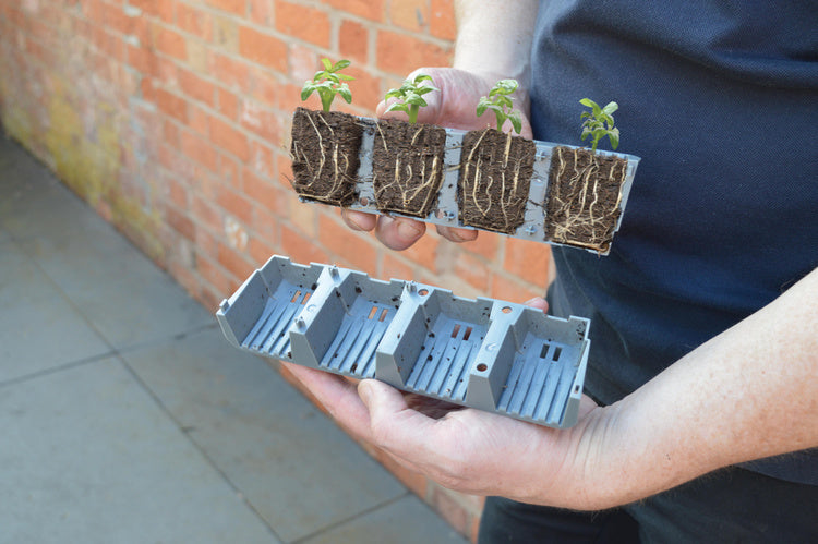 Garland 24 Cell Self Watering Fast Root Success Kit 38x23xh14cm G241