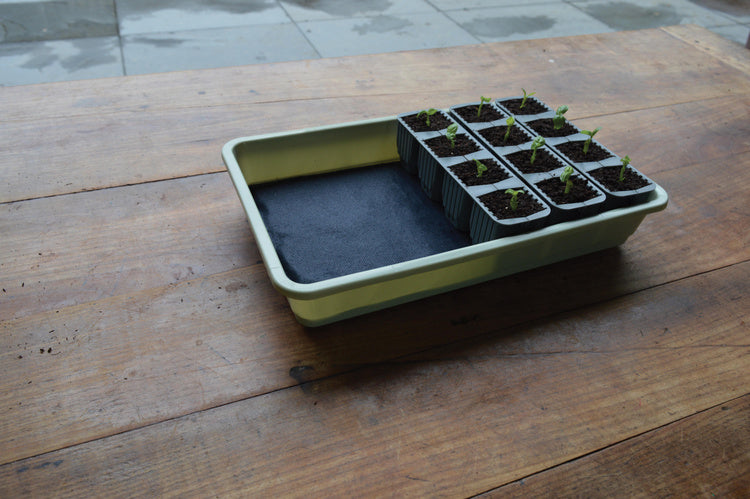 Garland 24 Cell Self Watering Fast Root Success Kit 38x23xh14cm G241