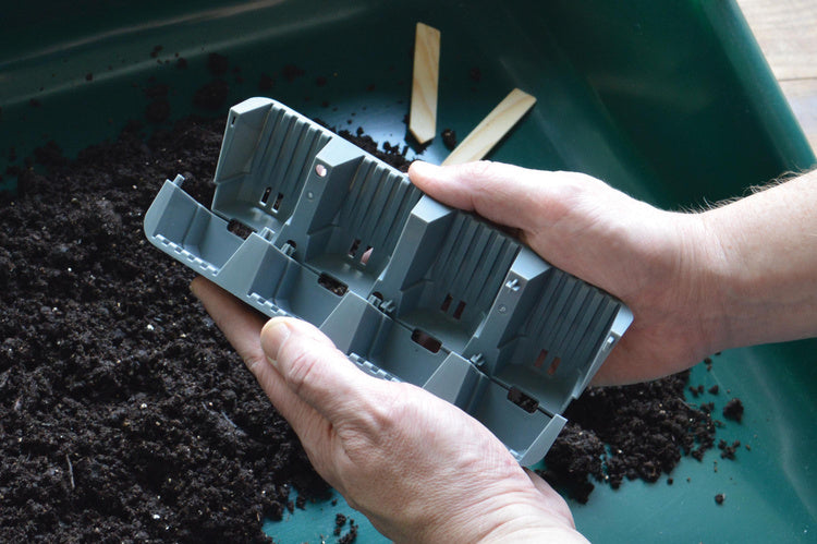 Garland 24 Cell Self Watering Fast Root Success Kit 38x23xh14cm G241